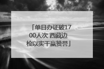 单日办证破1700人次 西藏边检以实干赢赞誉