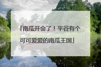 南瓜开会了！平谷有个可可爱爱的南瓜王国