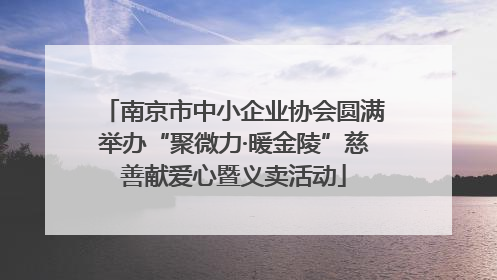 南京市中小企业协会圆满举办“聚微力·暖金陵”慈善献爱心暨义卖活动