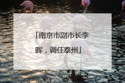 南京市副市长李晖,调任泰州