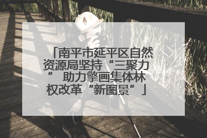 南平市延平区自然资源局坚持“三聚力” 助力擎画集体林权改革“新图景”