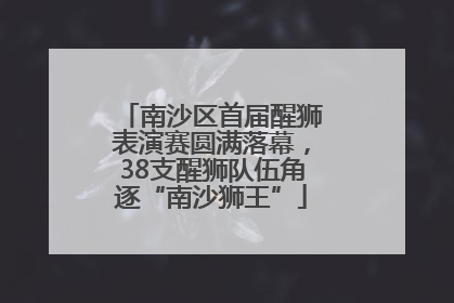 南沙区首届醒狮表演赛圆满落幕，38支醒狮队伍角逐“南沙狮王”