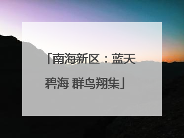南海新区：蓝天碧海 群鸟翔集