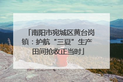 南阳市宛城区黄台岗镇：护航“三夏”生产 田间抢收正当时