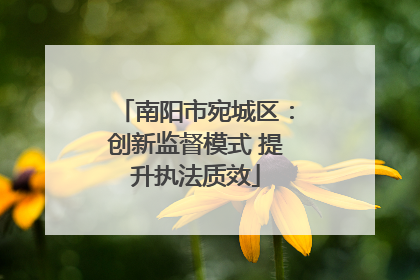 南阳市宛城区：创新监督模式 提升执法质效