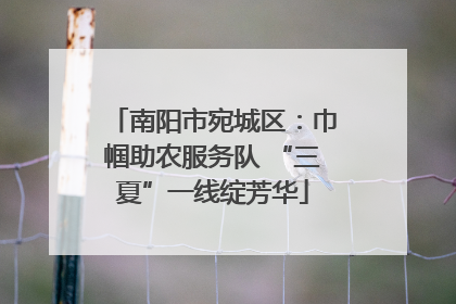 南阳市宛城区：巾帼助农服务队 “三夏”一线绽芳华