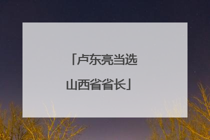 卢东亮当选山西省省长