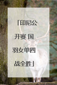 印尼公开赛 国羽女单四战全胜