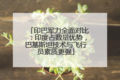 印巴军力全面对比：印度占数量优势，巴基斯坦技术与飞行员素质更强