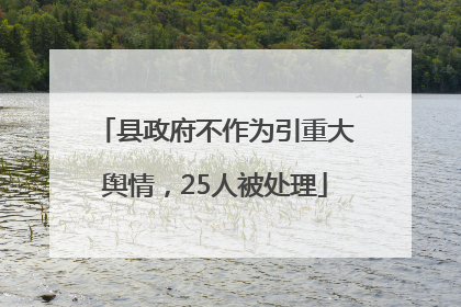 县政府不作为引重大舆情，25人被处理