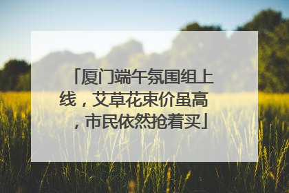 厦门端午氛围组上线，艾草花束价虽高，市民依然抢着买