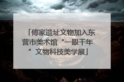 傅家遗址文物加入东营市美术馆“一眼千年”文物科技美学展