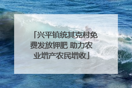 兴平镇统其克村免费发放钾肥 助力农业增产农民增收