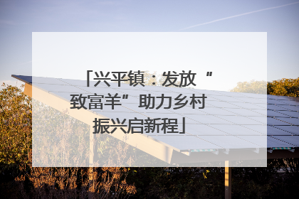 兴平镇：发放“致富羊”助力乡村振兴启新程