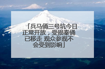 兵马俑三号坑今日正常开放，受损秦俑已移走 观众参观不会受到影响