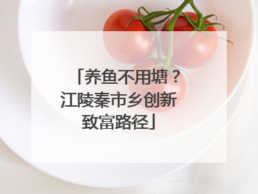 养鱼不用塘？江陵秦市乡创新致富路径