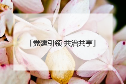 党建引领 共治共享