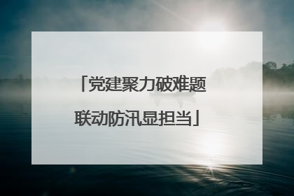 党建聚力破难题 联动防汛显担当