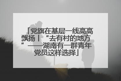 党旗在基层一线高高飘扬丨“去有村的地方”——湖南有一群青年党员这样选择
