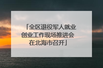 全区退役军人就业创业工作现场推进会在北海市召开