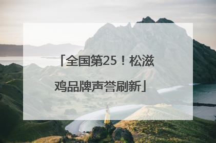 全国第25！松滋鸡品牌声誉刷新