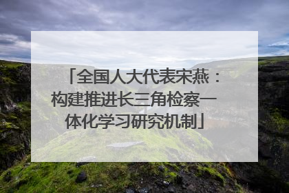 全国人大代表宋燕：构建推进长三角检察一体化学习研究机制
