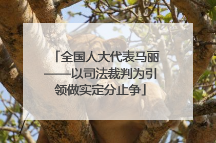 全国人大代表马丽——以司法裁判为引领做实定分止争
