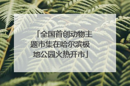 全国首创动物主题市集在哈尔滨极地公园火热开市