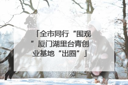 全市同行“围观”厦门湖里台青创业基地“出圈”
