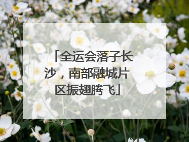 全运会落子长沙，南部融城片区振翅腾飞