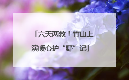 六天两救！竹山上演暖心护“野”记