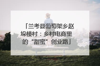兰考县葡萄架乡赵垛楼村：乡村电商里的“甜蜜”创业路