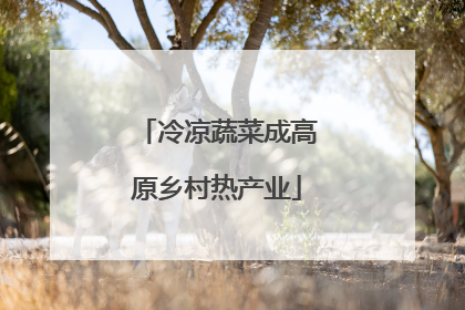 冷凉蔬菜成高原乡村热产业