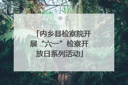 内乡县检察院开展“六一”检察开放日系列活动