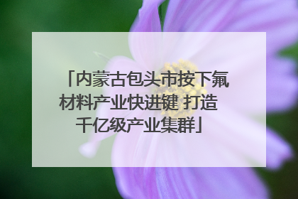 内蒙古包头市按下氟材料产业快进键 打造千亿级产业集群