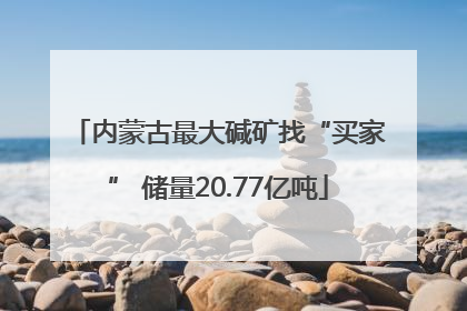 内蒙古最大碱矿找“买家” 储量20.77亿吨