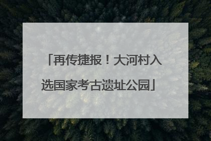 再传捷报！大河村入选国家考古遗址公园