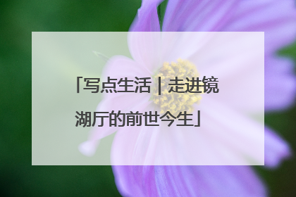 写点生活｜走进镜湖厅的前世今生
