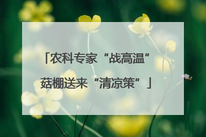 农科专家“战高温” 菇棚送来“清凉策”