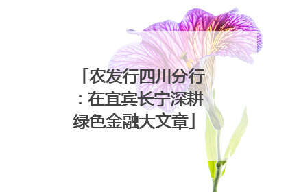 农发行四川分行：在宜宾长宁深耕绿色金融大文章