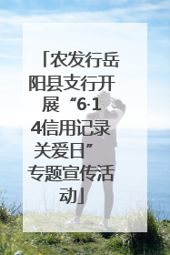 农发行岳阳县支行开展“6·14信用记录关爱日” 专题宣传活动