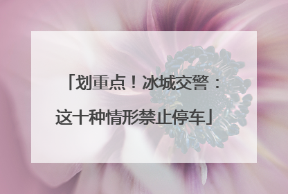 划重点！冰城交警：这十种情形禁止停车