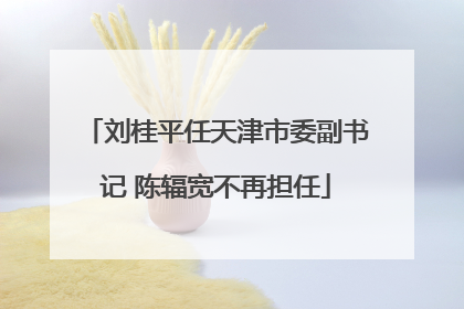 刘桂平任天津市委副书记 陈辐宽不再担任