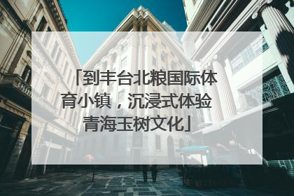 到丰台北粮国际体育小镇，沉浸式体验青海玉树文化