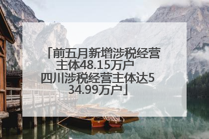 前五月新增涉税经营主体48.15万户 四川涉税经营主体达534.99万户