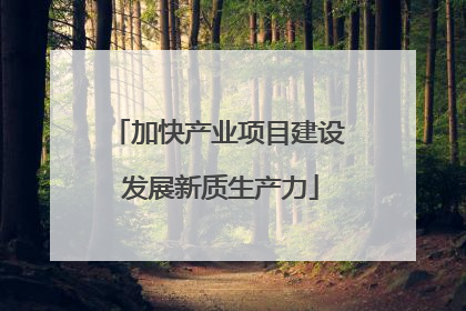 加快产业项目建设 发展新质生产力