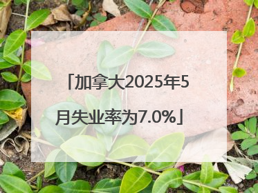 加拿大2025年5月失业率为7.0%