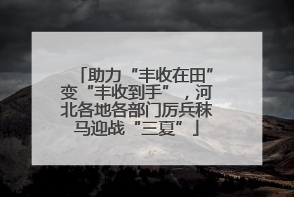 助力“丰收在田”变“丰收到手”，河北各地各部门厉兵秣马迎战“三夏”
