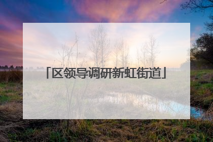 区领导调研新虹街道