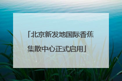 北京新发地国际香蕉集散中心正式启用